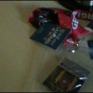 Ga key chains with a pin